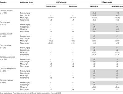 In Vitro Antifungal Activity of Ibrexafungerp (SCY-078) Against Contemporary Blood Isolates From Medically Relevant Species of Candida: A European Study